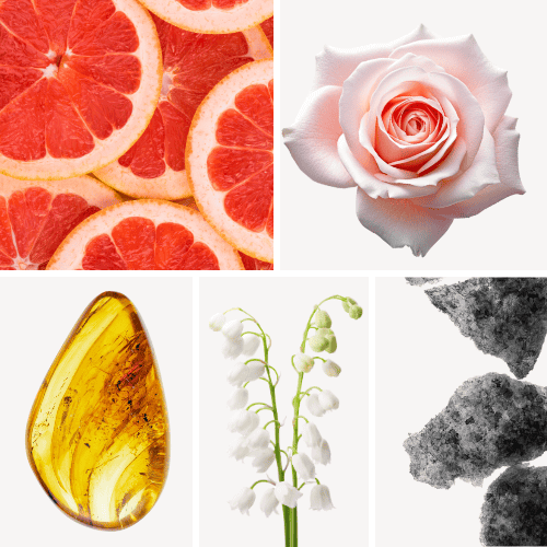 Duftnoten: Grapefruit, Rose, Ambra, Maiglöckchen, Moschus